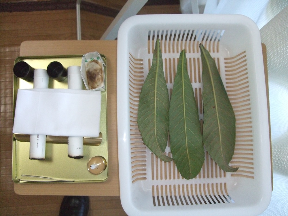 びわの葉、お灸器具の画像