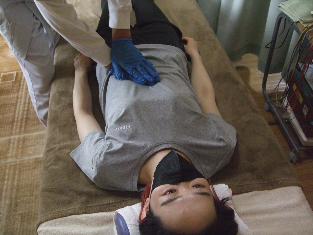 横隔膜整体の画像