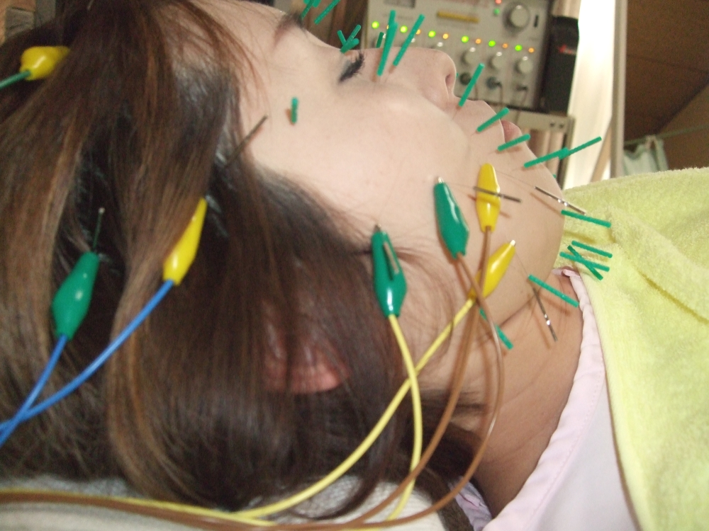 メニューの写真