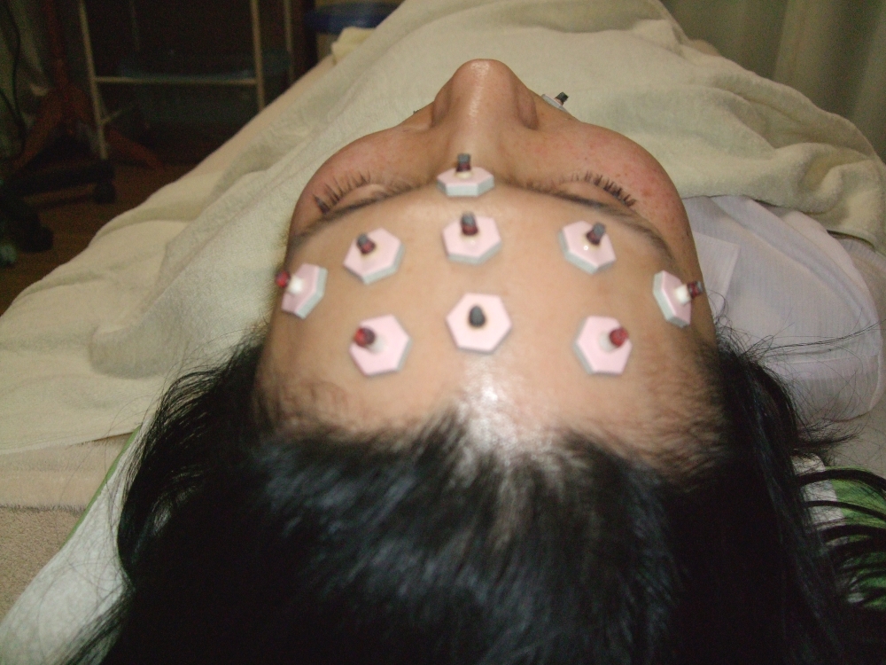 メニューの写真