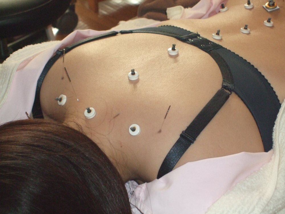 スタイルの写真