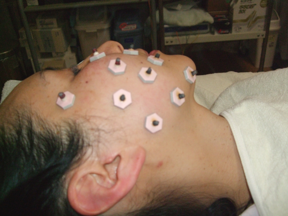 カタログの写真