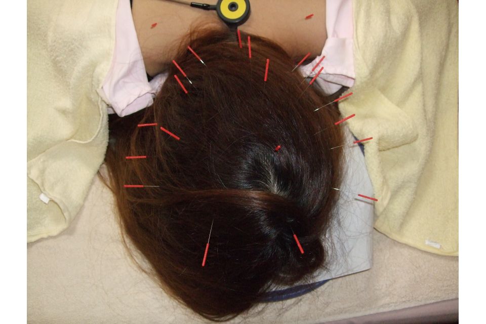 チラシの写真
